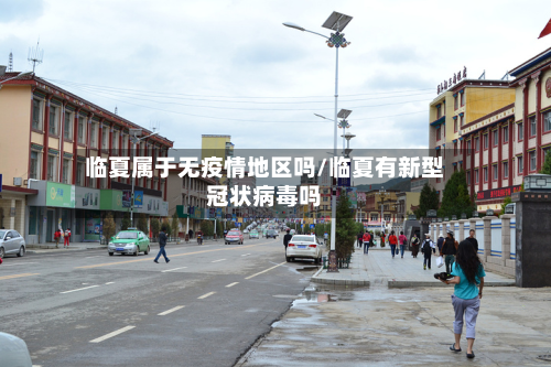 临夏属于无疫情地区吗/临夏有新型冠状病毒吗