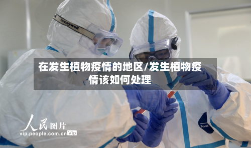 在发生植物疫情的地区/发生植物疫情该如何处理