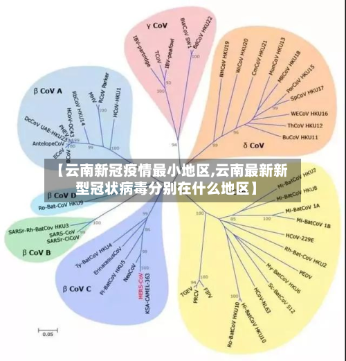 【云南新冠疫情最小地区,云南最新新型冠状病毒分别在什么地区】