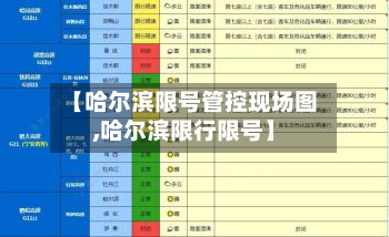 【哈尔滨限号管控现场图,哈尔滨限行限号】