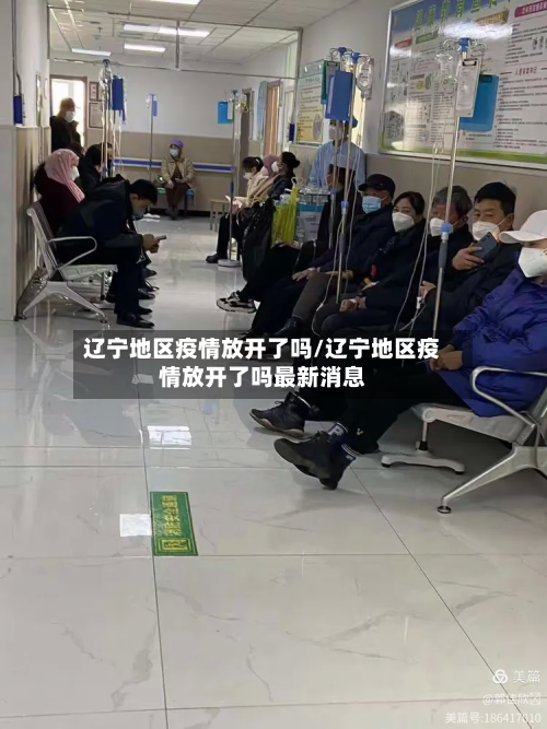辽宁地区疫情放开了吗/辽宁地区疫情放开了吗最新消息-第2张图片