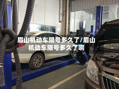 眉山机动车限号多久了/眉山机动车限号多久了啊
