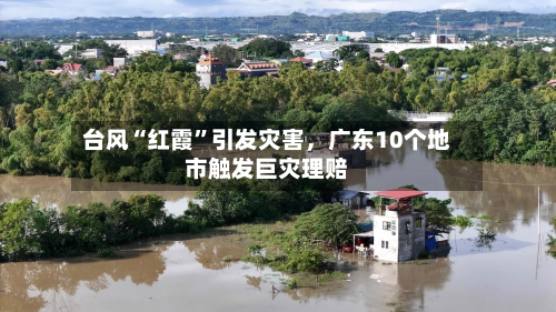 台风“红霞”引发灾害，广东10个地市触发巨灾理赔