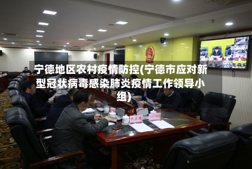 宁德地区农村疫情防控(宁德市应对新型冠状病毒感染肺炎疫情工作领导小组)-第3张图片