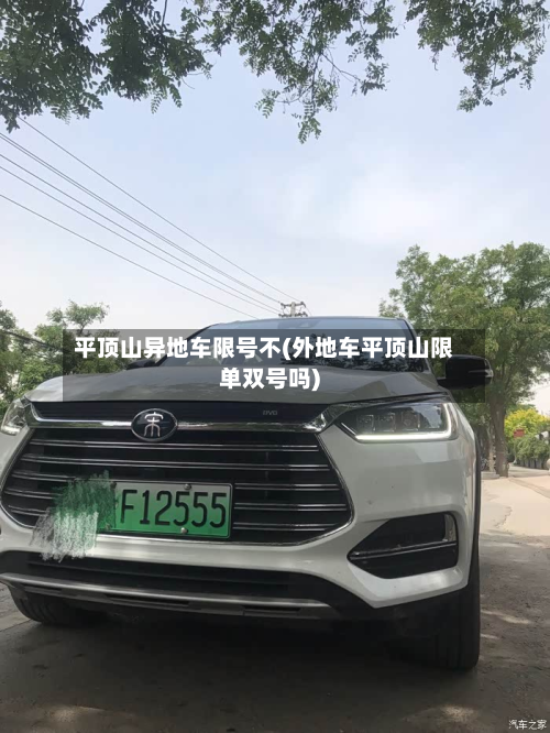 平顶山异地车限号不(外地车平顶山限单双号吗)-第2张图片
