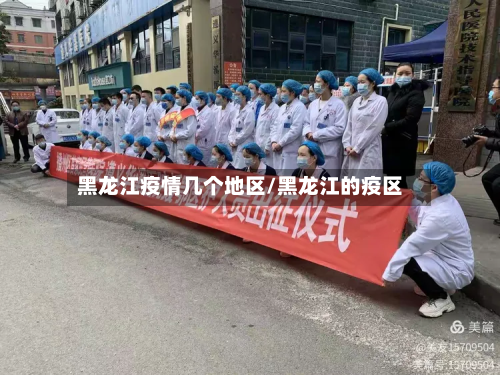 黑龙江疫情几个地区/黑龙江的疫区