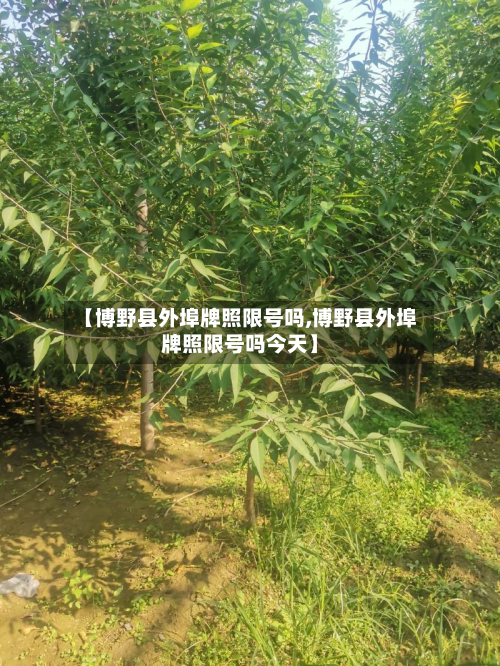 【博野县外埠牌照限号吗,博野县外埠牌照限号吗今天】