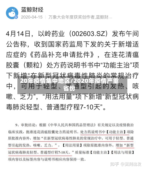 20年疫情集中地区/2020年疫情严重省份