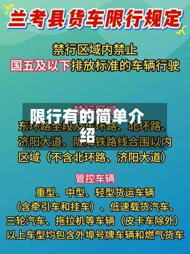限行有的简单介绍-第3张图片