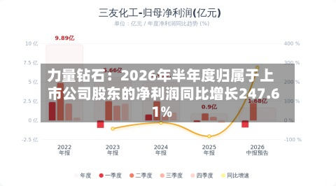 力量钻石：2026年半年度归属于上市公司股东的净利润同比增长247.61%-第3张图片