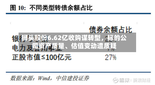 狮头股份6.62亿收购谋转型，标的公司资产质量、估值变动遭质疑-第3张图片