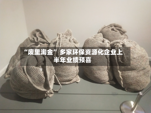 “废里淘金” 多家环保资源化企业上半年业绩预喜-第2张图片