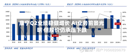 康宁Q2业绩稳健增长 AI业务前景光明 但股价仍承压下跌