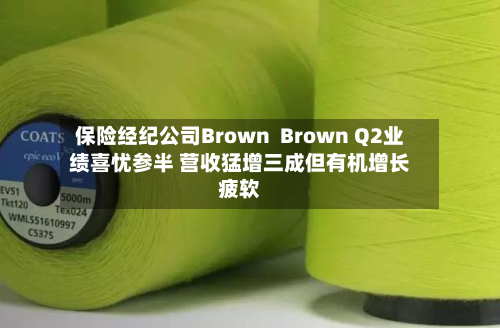保险经纪公司Brown  Brown Q2业绩喜忧参半 营收猛增三成但有机增长疲软