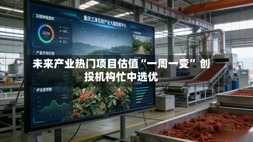 未来产业热门项目估值“一周一变” 创投机构忙中选优