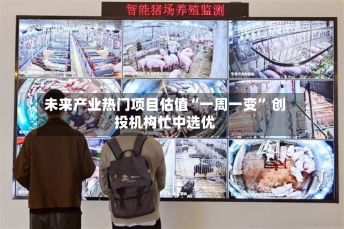 未来产业热门项目估值“一周一变	” 创投机构忙中选优-第2张图片