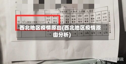 西北地区疫情原由(西北地区疫情原由分析)-第2张图片
