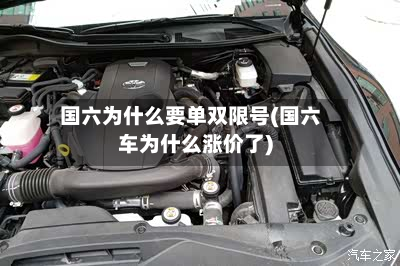 国六为什么要单双限号(国六车为什么涨价了)-第2张图片