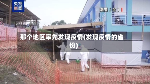 那个地区率先发现疫情(发现疫情的省份)