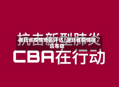 湖北省疫情地区评估/湖北省疫情响应等级-第2张图片