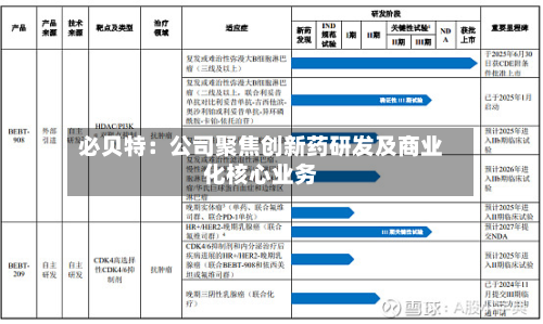 必贝特：公司聚焦创新药研发及商业化核心业务-第3张图片
