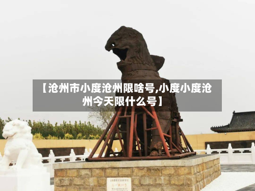 【沧州市小度沧州限啥号,小度小度沧州今天限什么号】