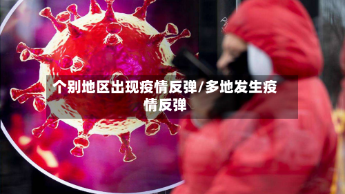 个别地区出现疫情反弹/多地发生疫情反弹