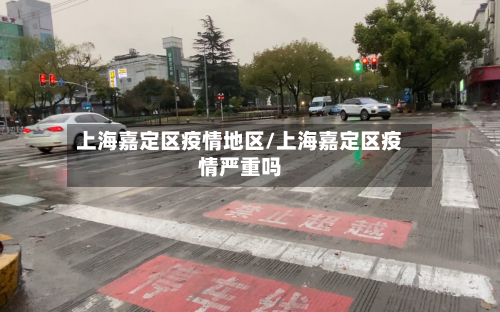 上海嘉定区疫情地区/上海嘉定区疫情严重吗