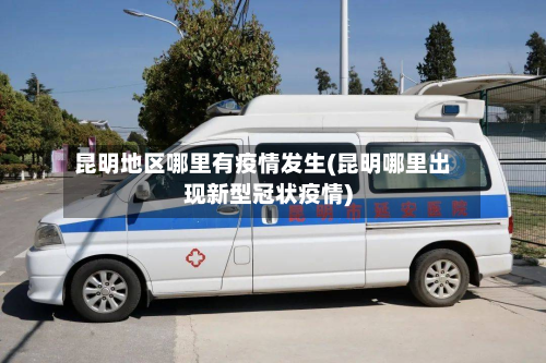 昆明地区哪里有疫情发生(昆明哪里出现新型冠状疫情)-第2张图片