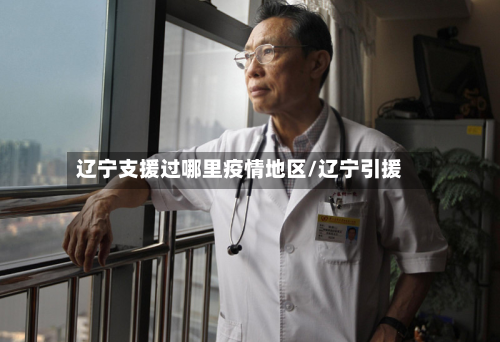 辽宁支援过哪里疫情地区/辽宁引援-第2张图片