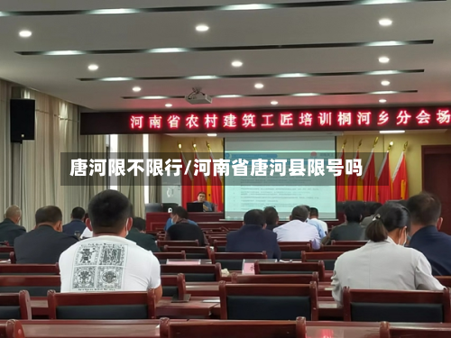 唐河限不限行/河南省唐河县限号吗-第3张图片