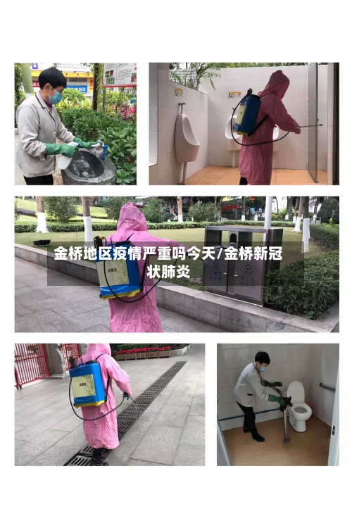 金桥地区疫情严重吗今天/金桥新冠状肺炎-第2张图片