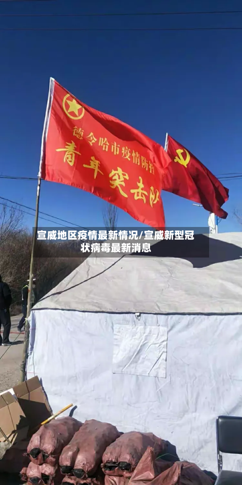 宣威地区疫情最新情况/宣威新型冠状病毒最新消息-第2张图片
