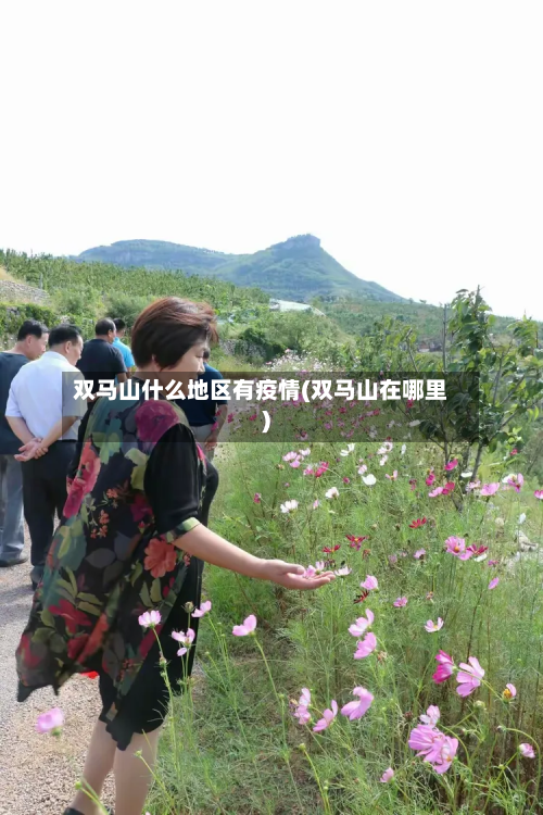 双马山什么地区有疫情(双马山在哪里)-第3张图片