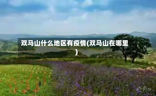 双马山什么地区有疫情(双马山在哪里)-第2张图片