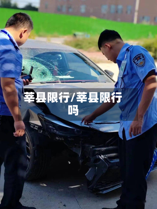 莘县限行/莘县限行吗