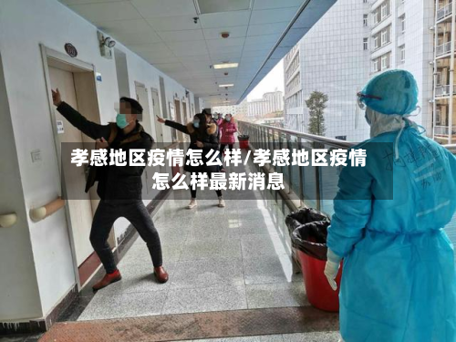 孝感地区疫情怎么样/孝感地区疫情怎么样最新消息-第2张图片
