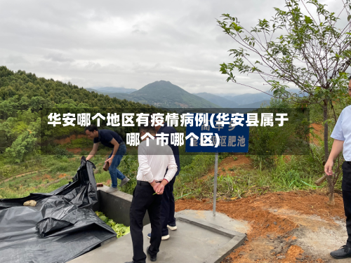 华安哪个地区有疫情病例(华安县属于哪个市哪个区)-第3张图片