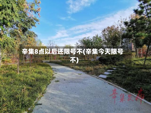 辛集8点以后还限号不(辛集今天限号不)-第3张图片