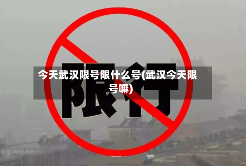 今天武汉限号限什么号(武汉今天限号嘛)