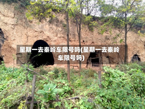 星期一去秦岭车限号吗(星期一去秦岭车限号吗)-第3张图片