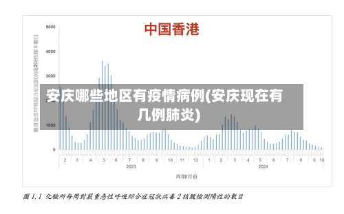 安庆哪些地区有疫情病例(安庆现在有几例肺炎)-第2张图片