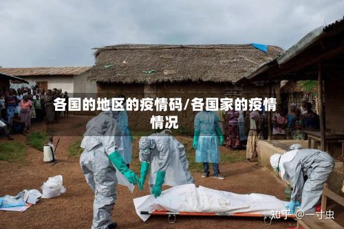 各国的地区的疫情码/各国家的疫情情况-第3张图片