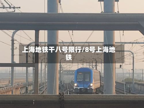 上海地铁干八号限行/8号上海地铁-第2张图片