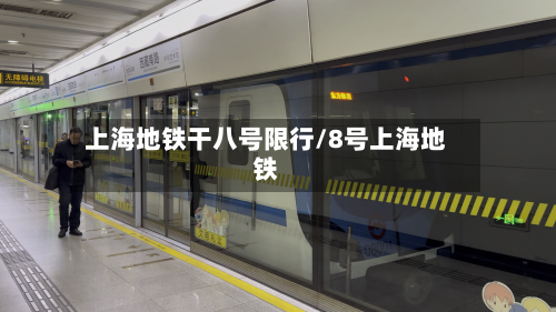 上海地铁干八号限行/8号上海地铁