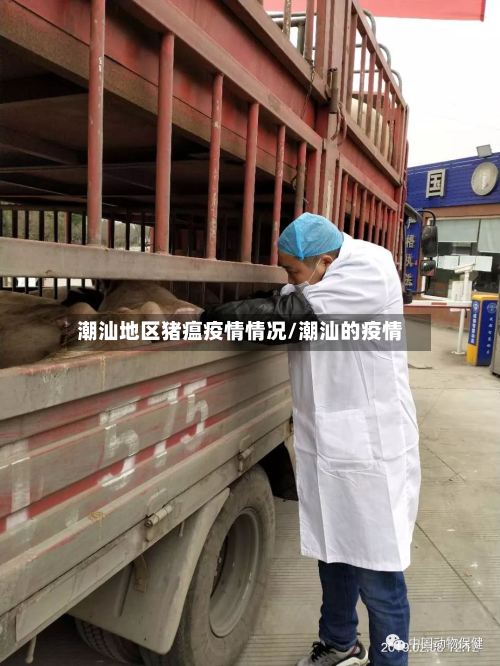 潮汕地区猪瘟疫情情况/潮汕的疫情