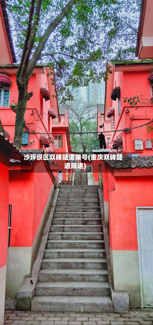 沙坪坝区双碑隧道限号(重庆双碑隧道限速)-第2张图片
