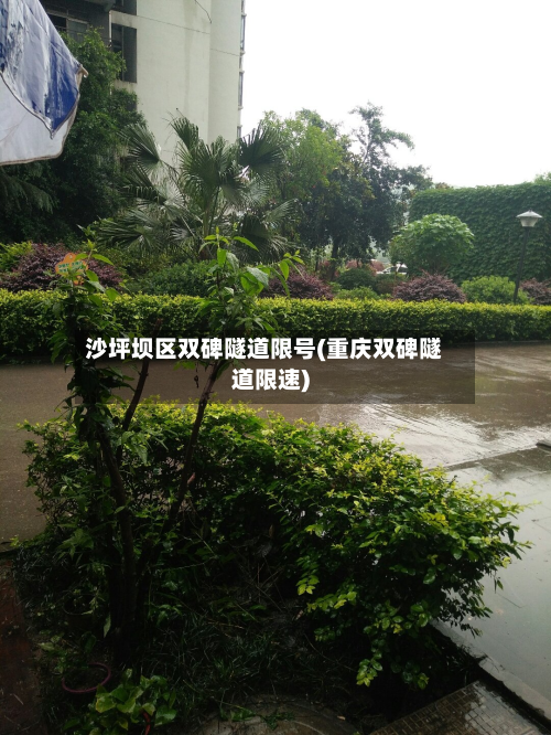 沙坪坝区双碑隧道限号(重庆双碑隧道限速)