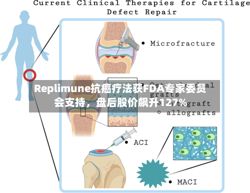 Replimune抗癌疗法获FDA专家委员会支持	，盘后股价飙升127%-第2张图片