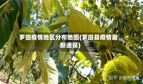 罗田疫情地区分布地图(罗田县疫情最新通报)